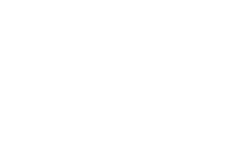 Wellness First